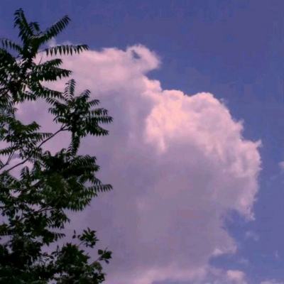 箭术士游戏下载